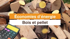 Faire des économies d'énergie avec le bois ou le pellet, réduire sa facture d'éléctricité ou de gaz comparatif cout des énergies, estimation des gains
