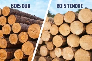 Comparatif bois dur et bois tendre bois de chauffage meilleures essences