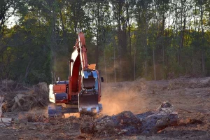 déforestation liée au bois de chauffage