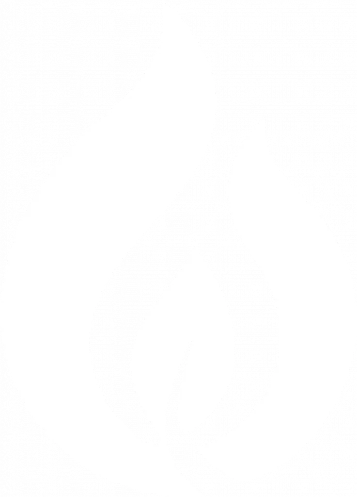 Logo entreprise chthibois a hondeghem bois de chauffage dur et sec et pellets granulés de bois 59 livraison petit bois d'allumage allume feu