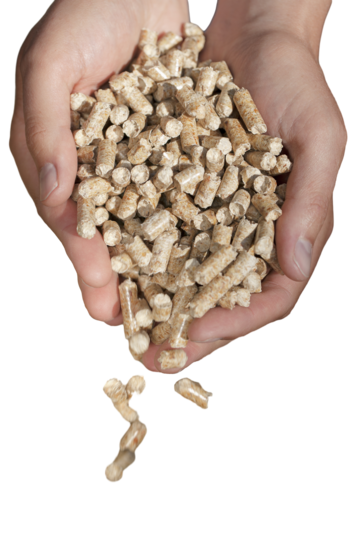 Pellets certifiés dinplus granulés de bois premium